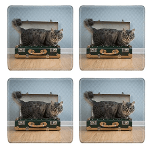 coasters