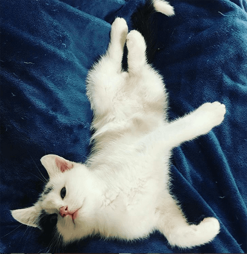 winston