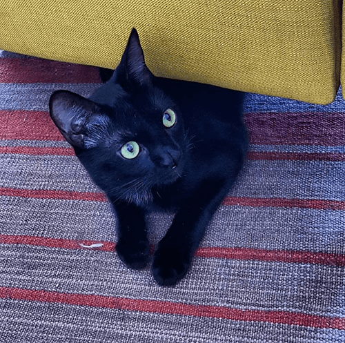 doby