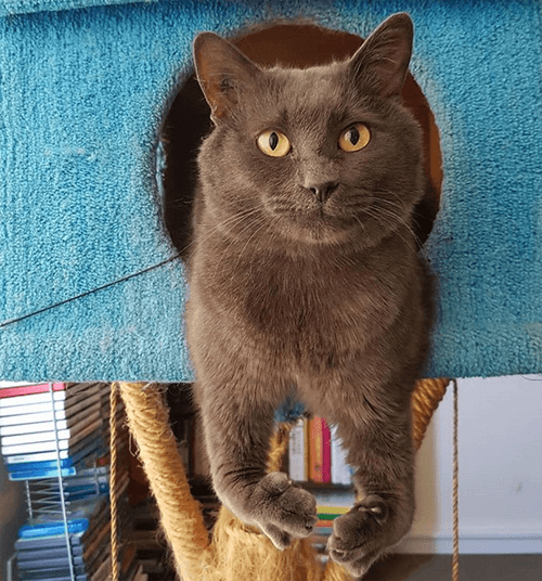 misterb