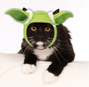 catcostume