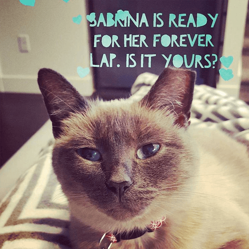 sabrina