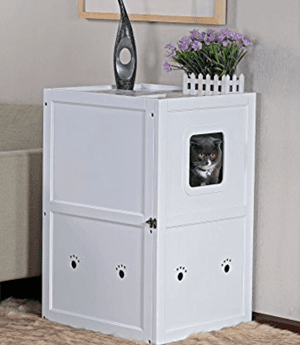 litterbox