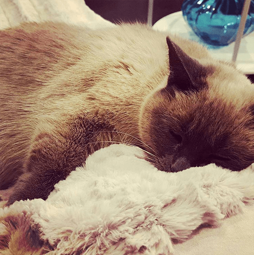 sabrina