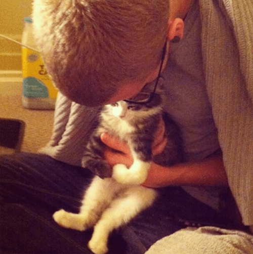 pippin
