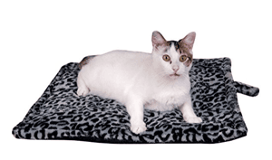 catbed