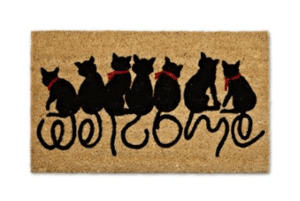 catdoormat