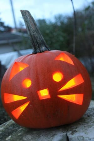 catpumpkin