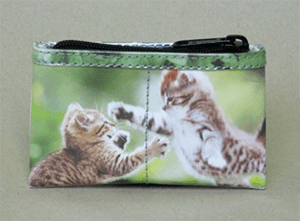 catcoinpurse