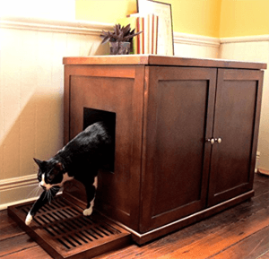 litterbox