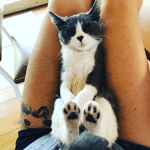margot