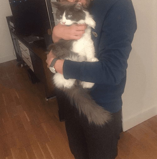 louie