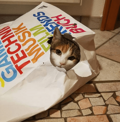 punktchen