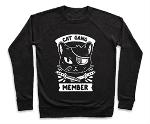 catsweatshirt