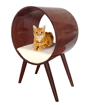 midcenturycat