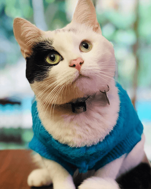 winston