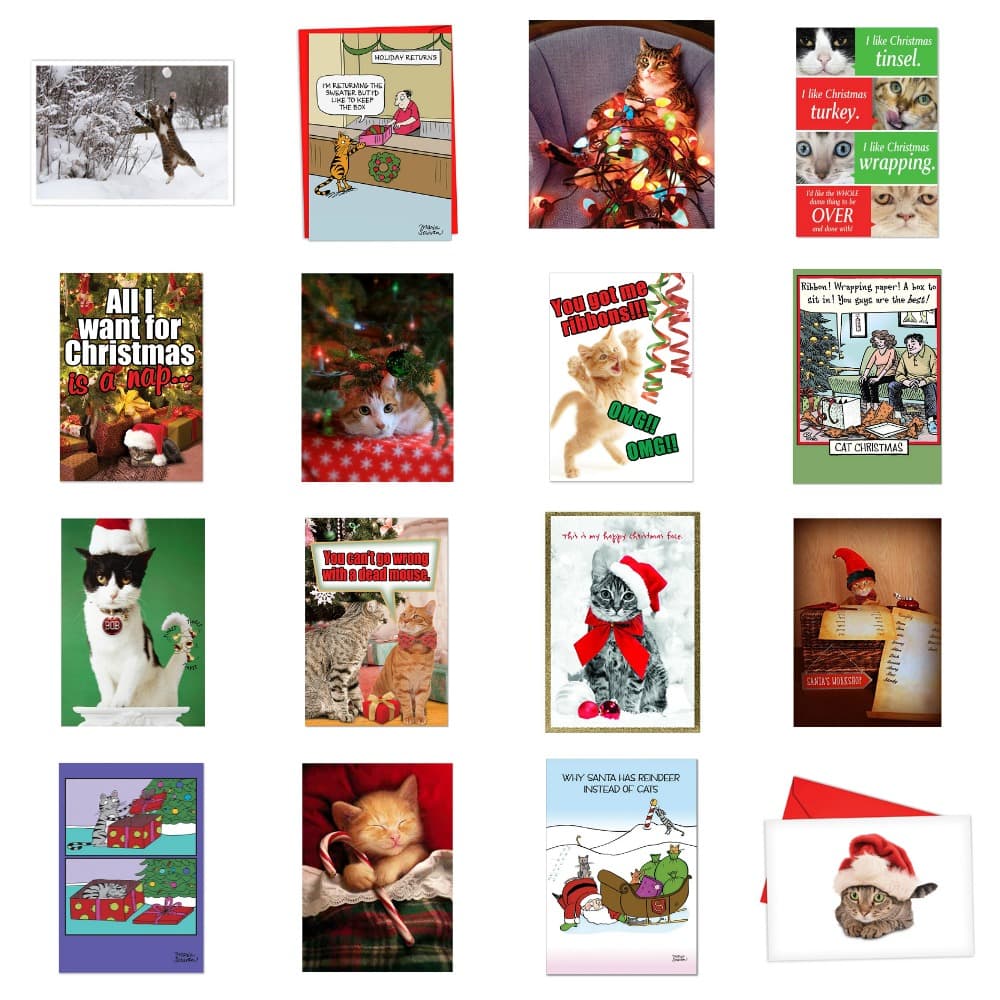 best cat christmas cards feature