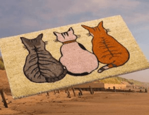 catdoormat
