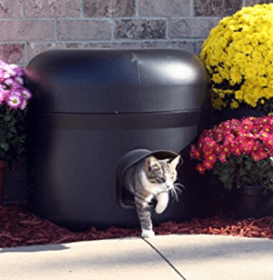 cathouse