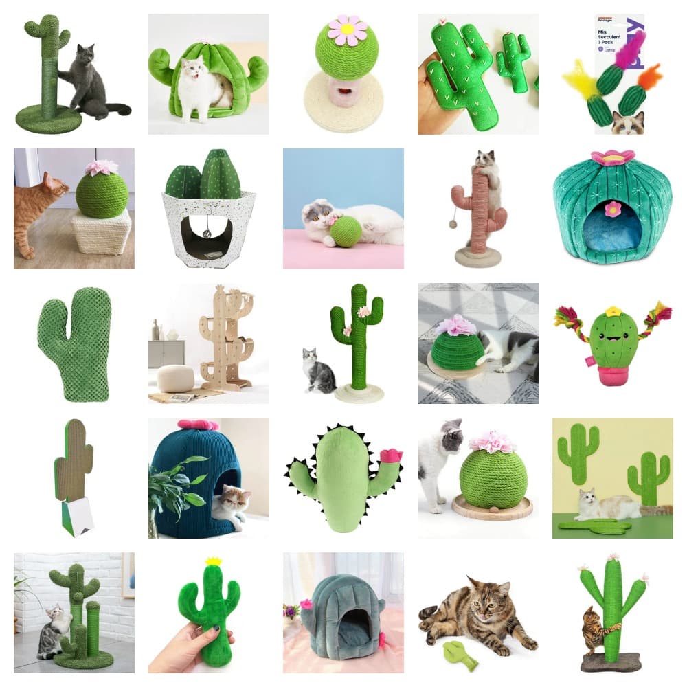 cactus cat scratchers beds toys feature