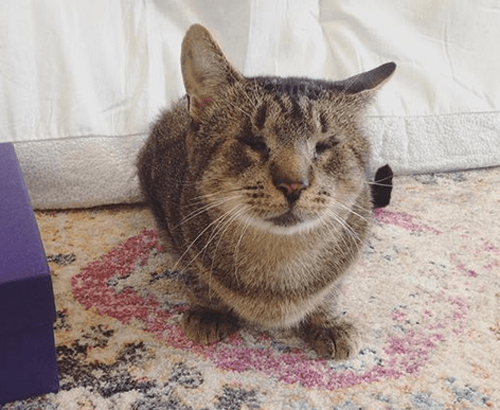 morty