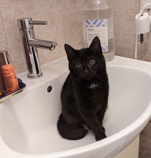 sink