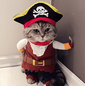 catcostume