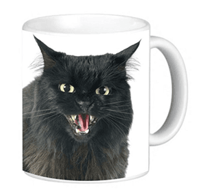 blackcatmug