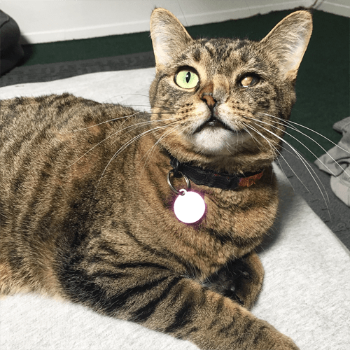 nora
