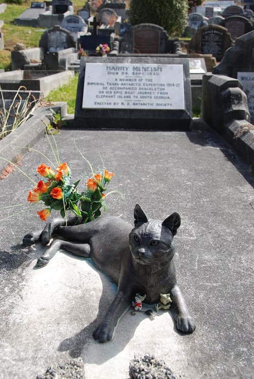 800px-Harry_McNeish_Gravestone_cat