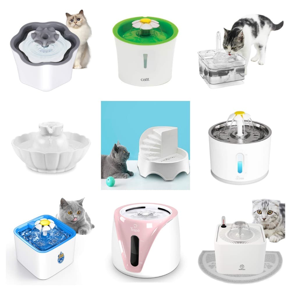 cat water fountains feature