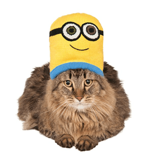 catcostume