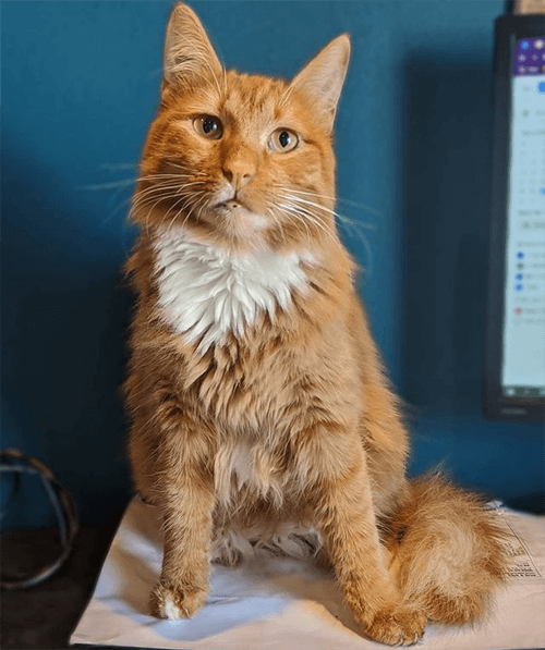 pablo