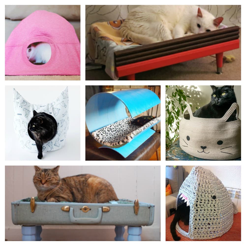 diy cat beds feature