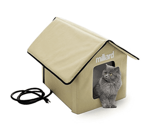 cathouse