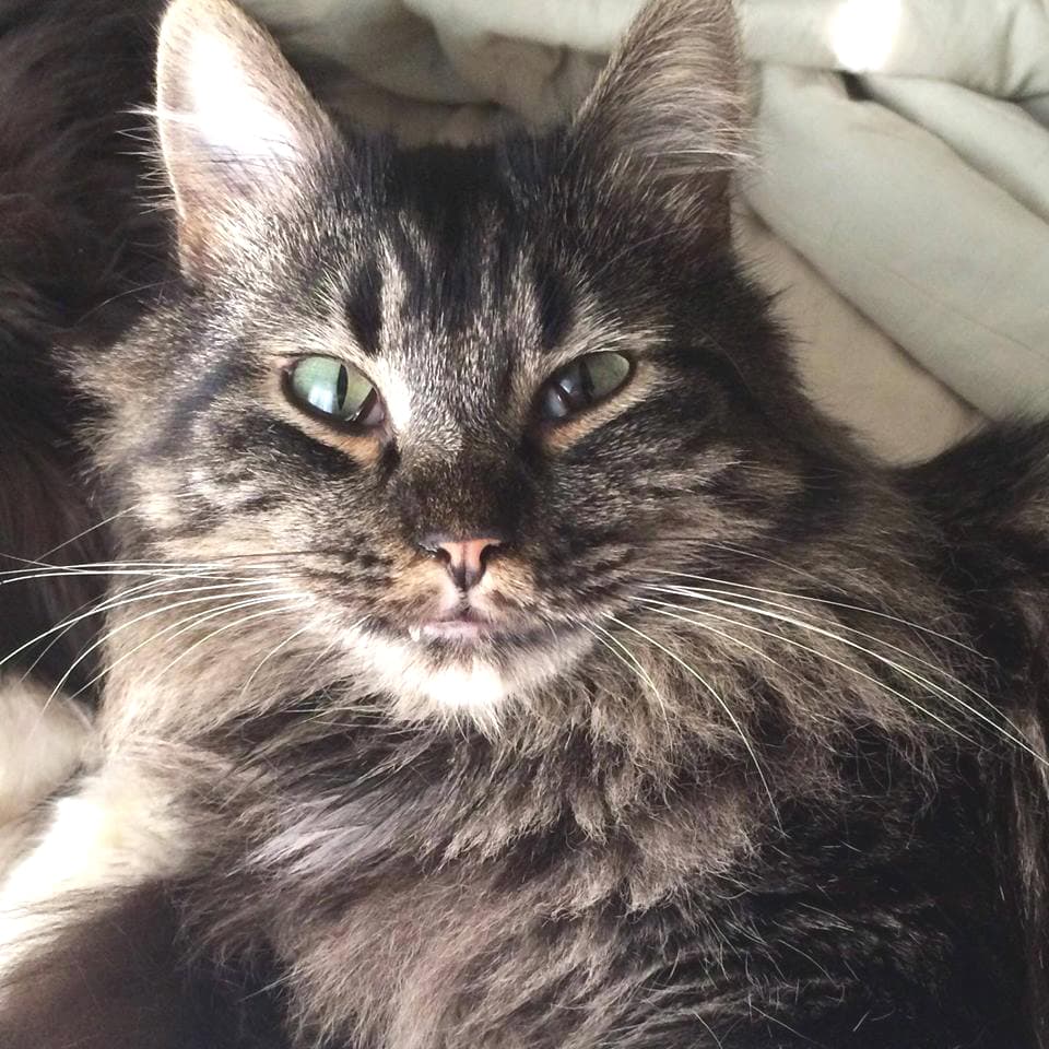 lenniefeature