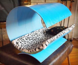 diycatbed