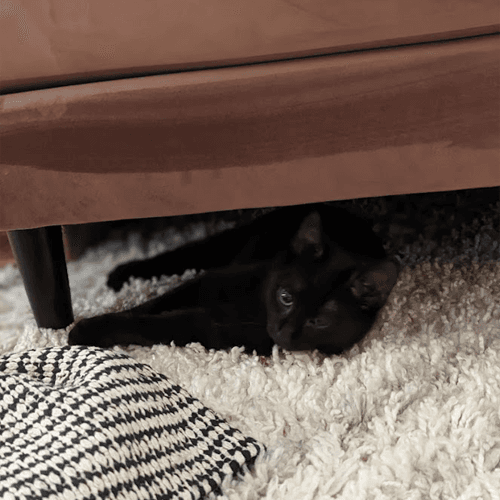 undercouch