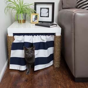 Kitty-Corner-585-34fd2b