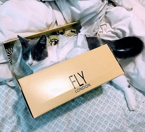 alealani
