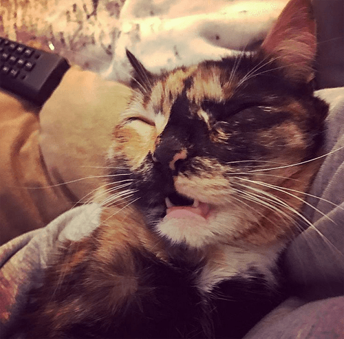 bobbi