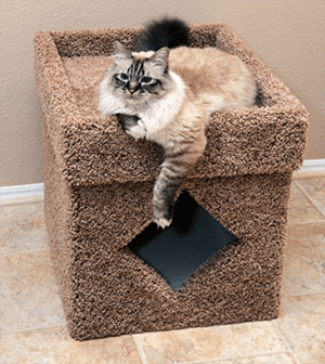 litterbox