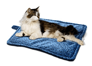 catbed
