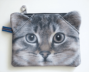 catcoinpurse