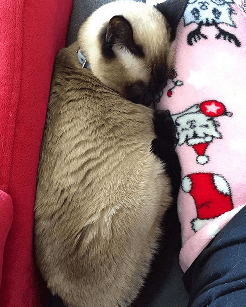 keiko