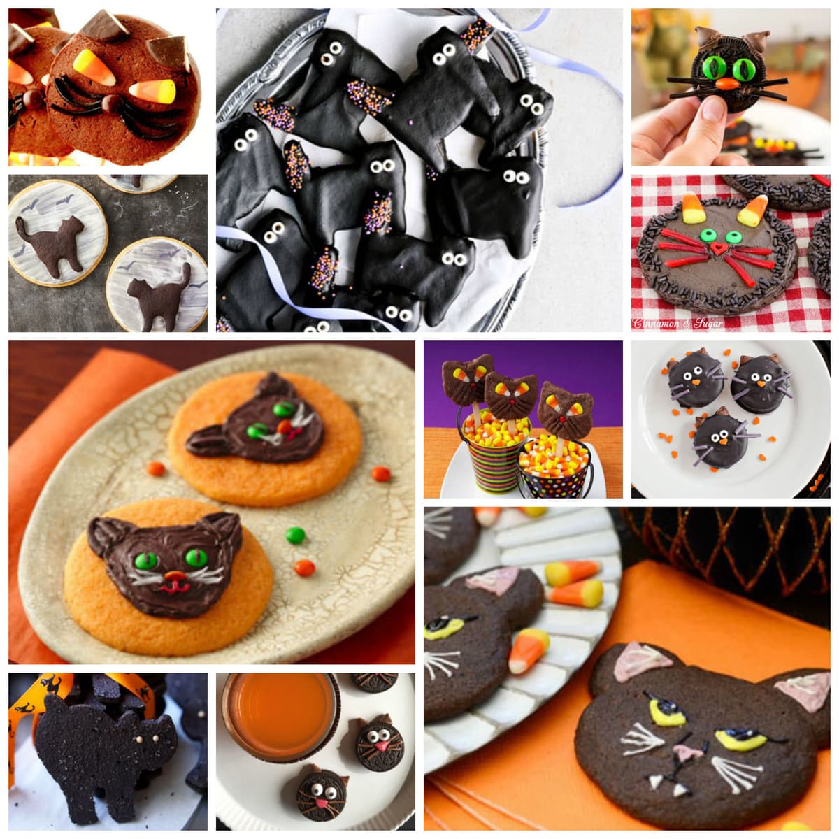 halloween cat cookies feature