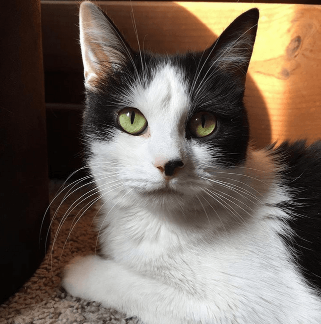 winniefeature