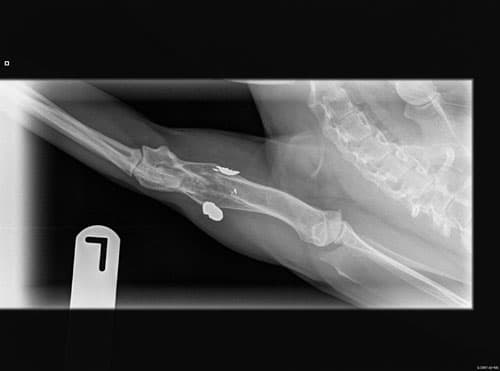 Jack3
