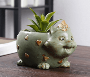 catplanter