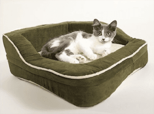 heatedcatbed